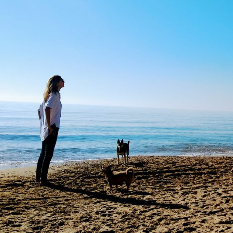 cuidador de perro, asistencia canina, paseador perro, confianza