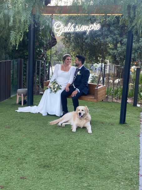 Mascotas en bodas