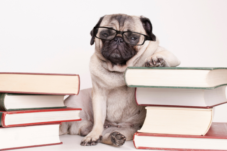 Carlino estudiando con libros